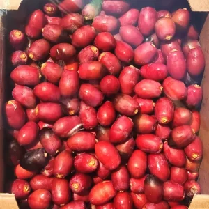 Fresh Khenaizi Dates