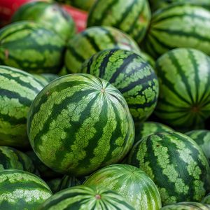 Watermelon