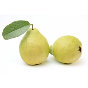 Guava