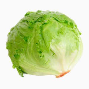خس مدورة